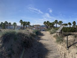 154-01-01-2026 IMG_6489